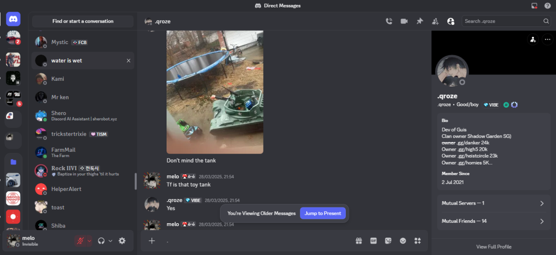 roze13 trampoline continuation